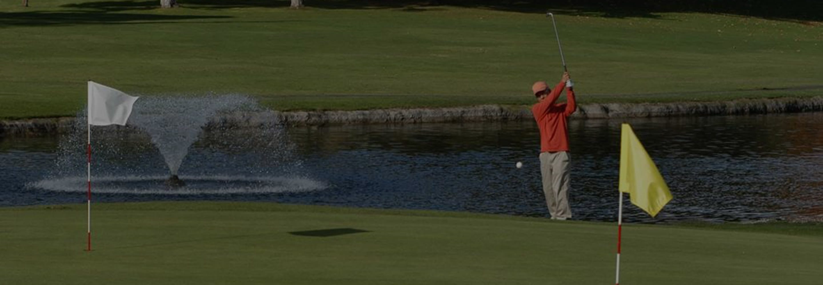 Golfer on green.