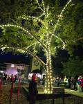 This year’s Tree of Lights at Dollar was a successful fundrais