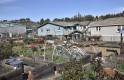garden-photo-7