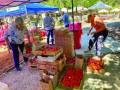 The Garden Club's Tomato Festival returns to Sportsmen's Park on