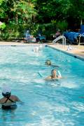 dollarpool3