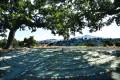 The Rossmoor Labyrinth
