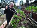 Rossmoor Garden Club